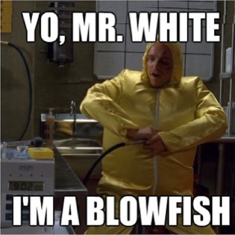 Breaking Bad Follow Game - Picture 8 of 16